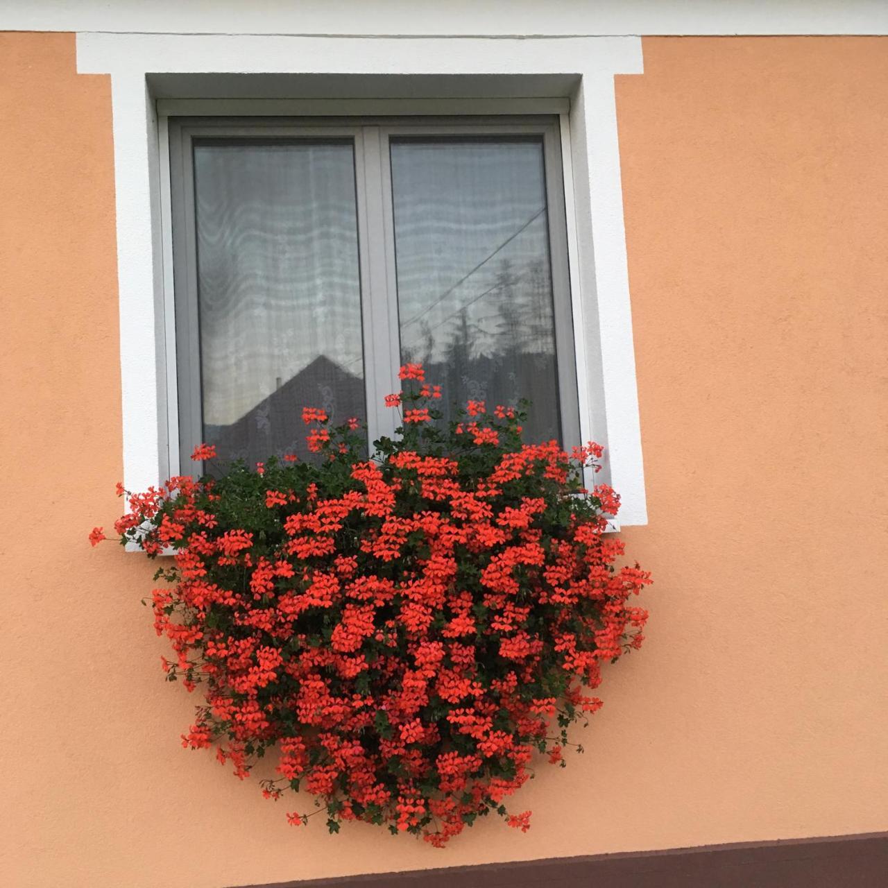 Liliom Vendégház Bakonybél Exterior foto
